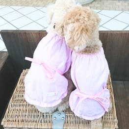 ケタ&ソレさんの作品