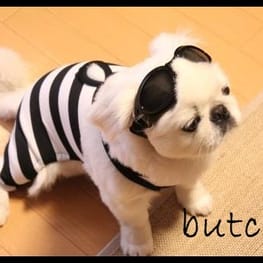 ちゃちゃまるさんの作品