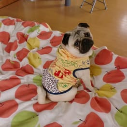 millamillaさんの作品