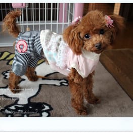 jun*junさんの作品