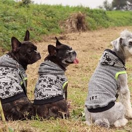 ちびっこさんの作品