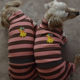 ひなはなさんの作品