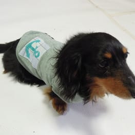 ライさんの作品