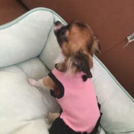 yukichizさんの作品