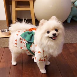 にこママさんの作品