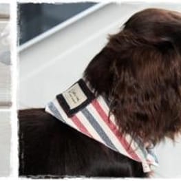 akizoo88さんの作品