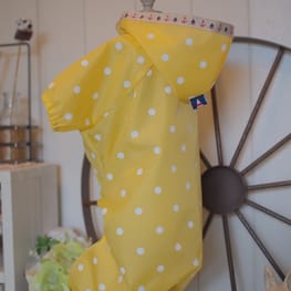 shimaさんの作品