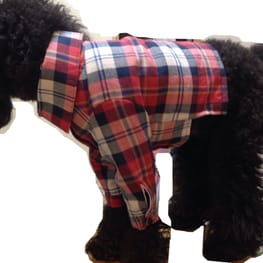 M・trueさんの作品