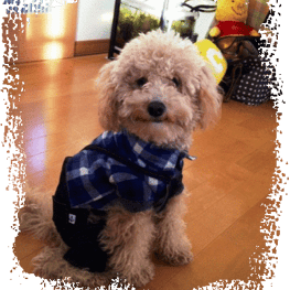 serikichi♪さんの作品