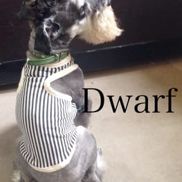 Dwarfさんの作品