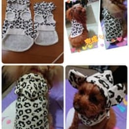 ayuzouさんの作品