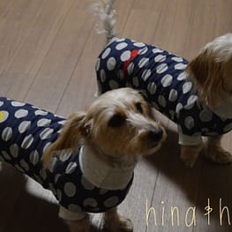 ひなはなさんの作品