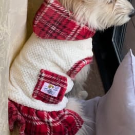 かりんママさんの作品