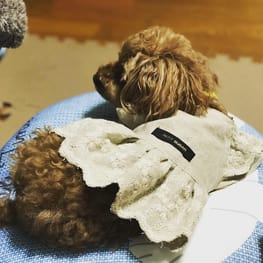 teruruさんの作品