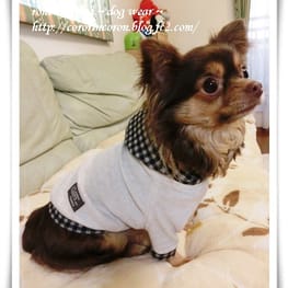 roncoさんの作品