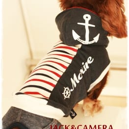 akizoo88さんの作品