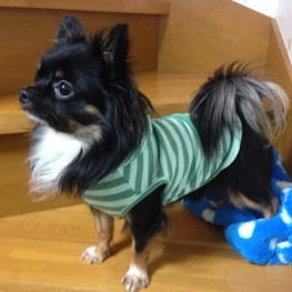 かふぇおれさんの作品