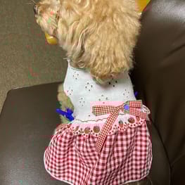 あ～すけさんの作品