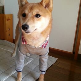 ナツ色さんの作品