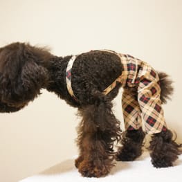 M・trueさんの作品