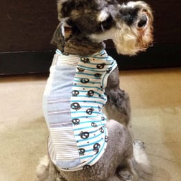 Dwarfさんの作品