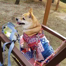 mizukiakiraさんの作品