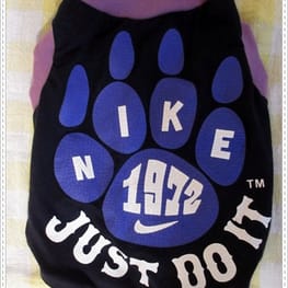 はるさんの作品