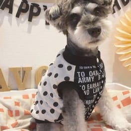 ちゃちゃさんの作品