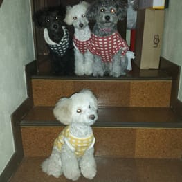 pobalさんの作品