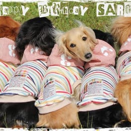 Linneさんの作品