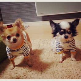 キャサリンさんの作品