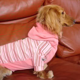 COCOままさんの作品