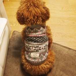 ちえぞうさんの作品