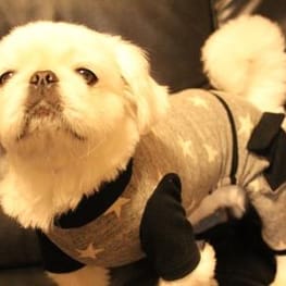 ちゃちゃまるさんの作品