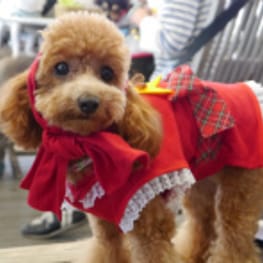 ちみこママさんの作品