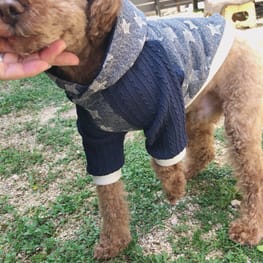 かみちゃんさんの作品