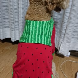 びすさんの作品