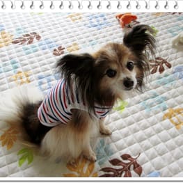 はるさんの作品