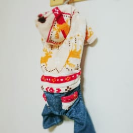 C&L.mamaさんの作品