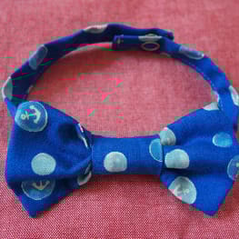 mamehanasoraさんの作品