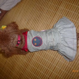 ちみこママさんの作品