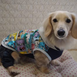 mamehanasoraさんの作品