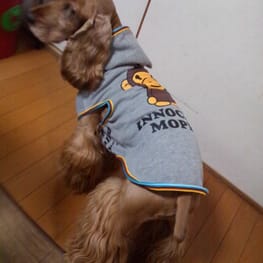 晴ママさんの作品