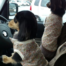 sakuramaruさんの作品