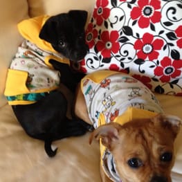 Princessmiyaさんの作品