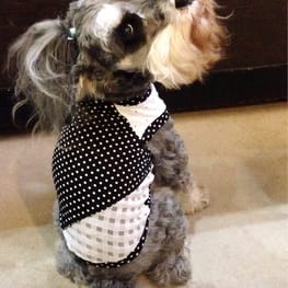 Dwarfさんの作品