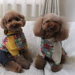 リリアままさんの作品