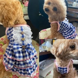 かわいい新作 犬服キャミソール(Ｓ)ハンドメイド 犬用品