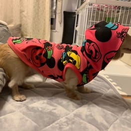 チーママさんの作品