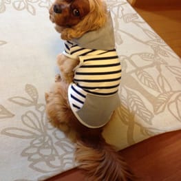 はるさんの作品